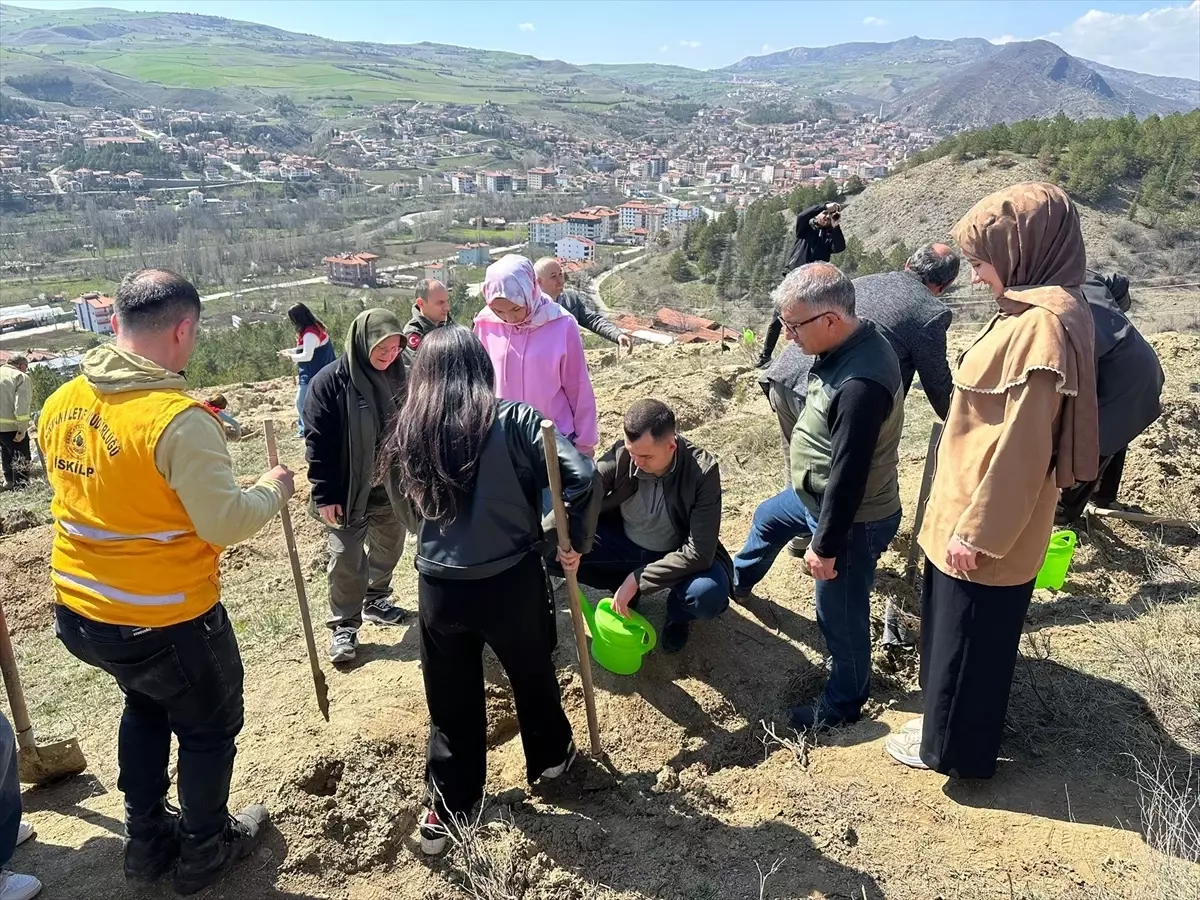 Bayat\'ta 105 Fidan Dikildi