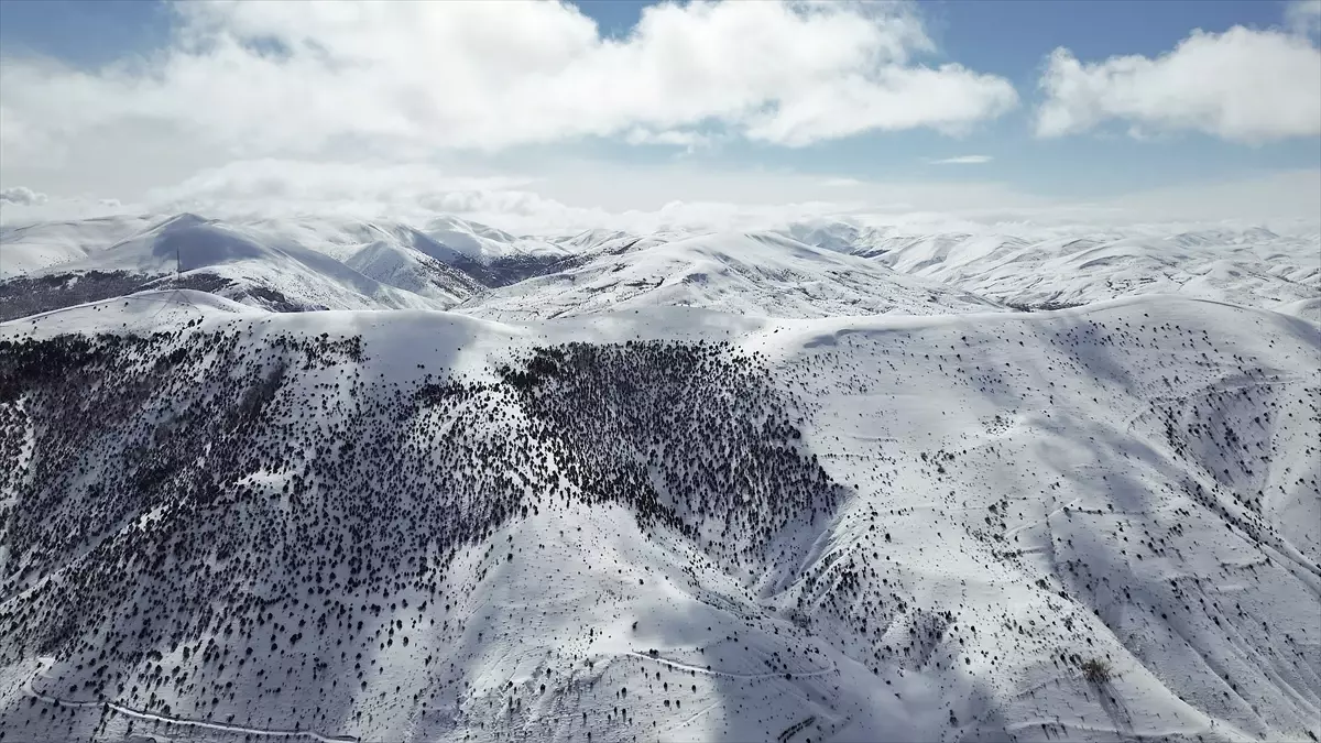 Bayburt\'ta Kar Manzaraları