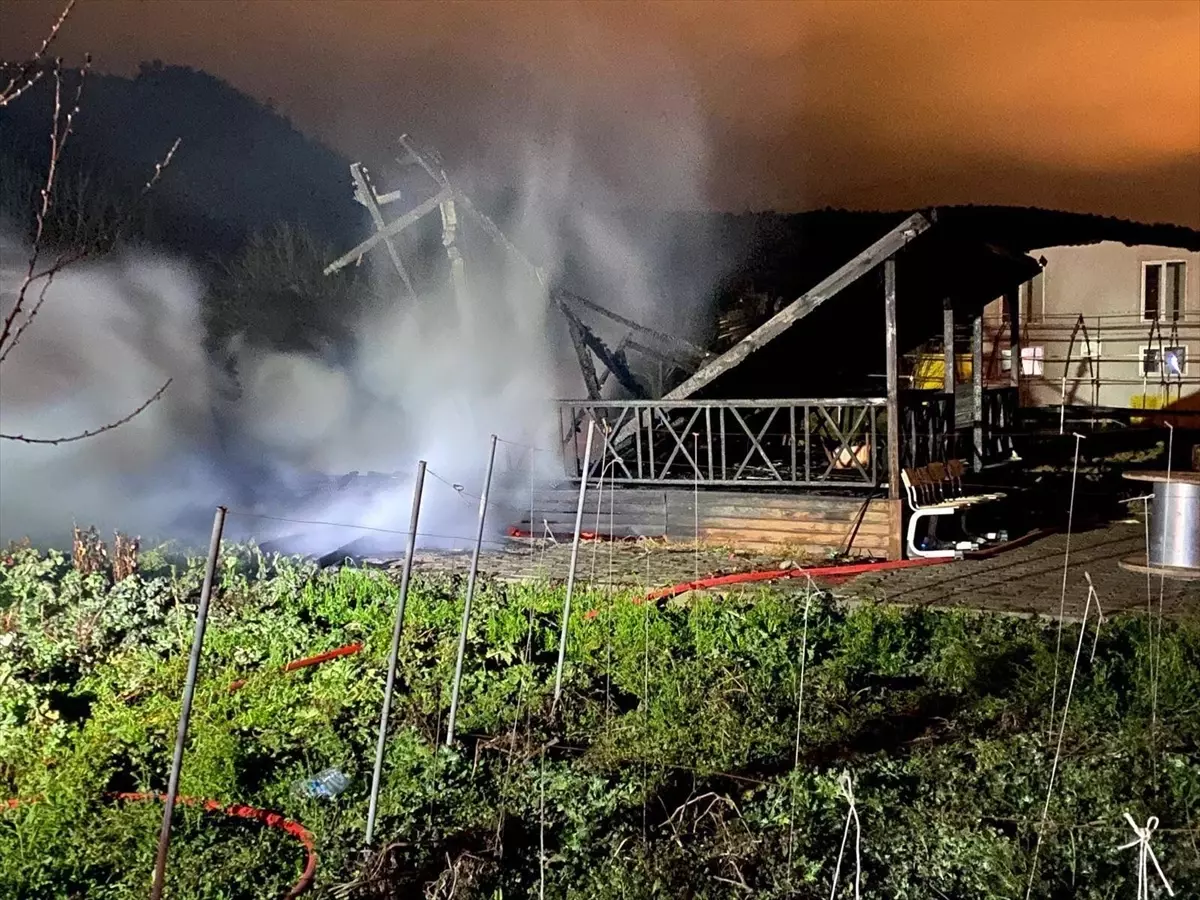 Bilecik\'te Bağ Evlerinde Yangın