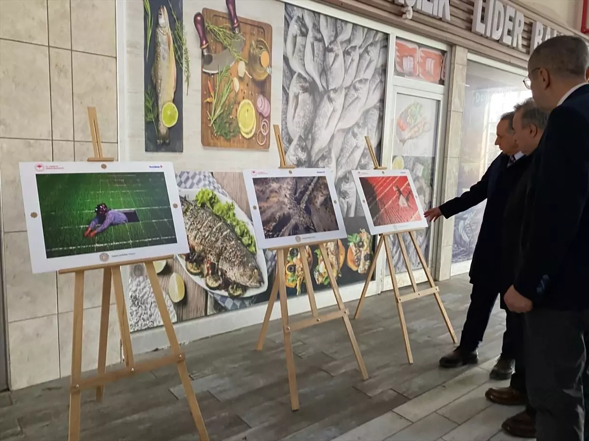 Bozüyük\'te Tarım Fotoğraf Yarışması Sergisi Açıldı