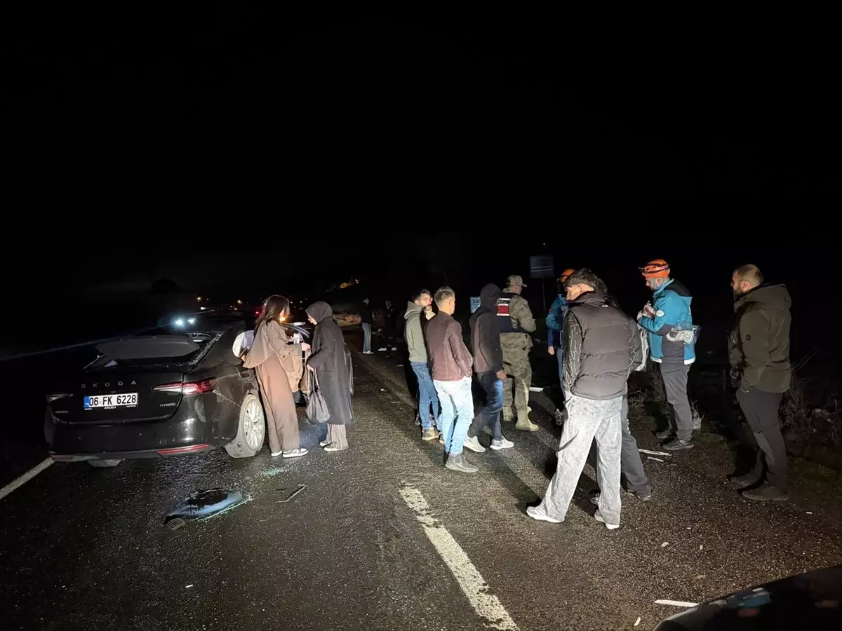 Bingöl\'de Ata Çarpan Otomobilde 4 Yaralı