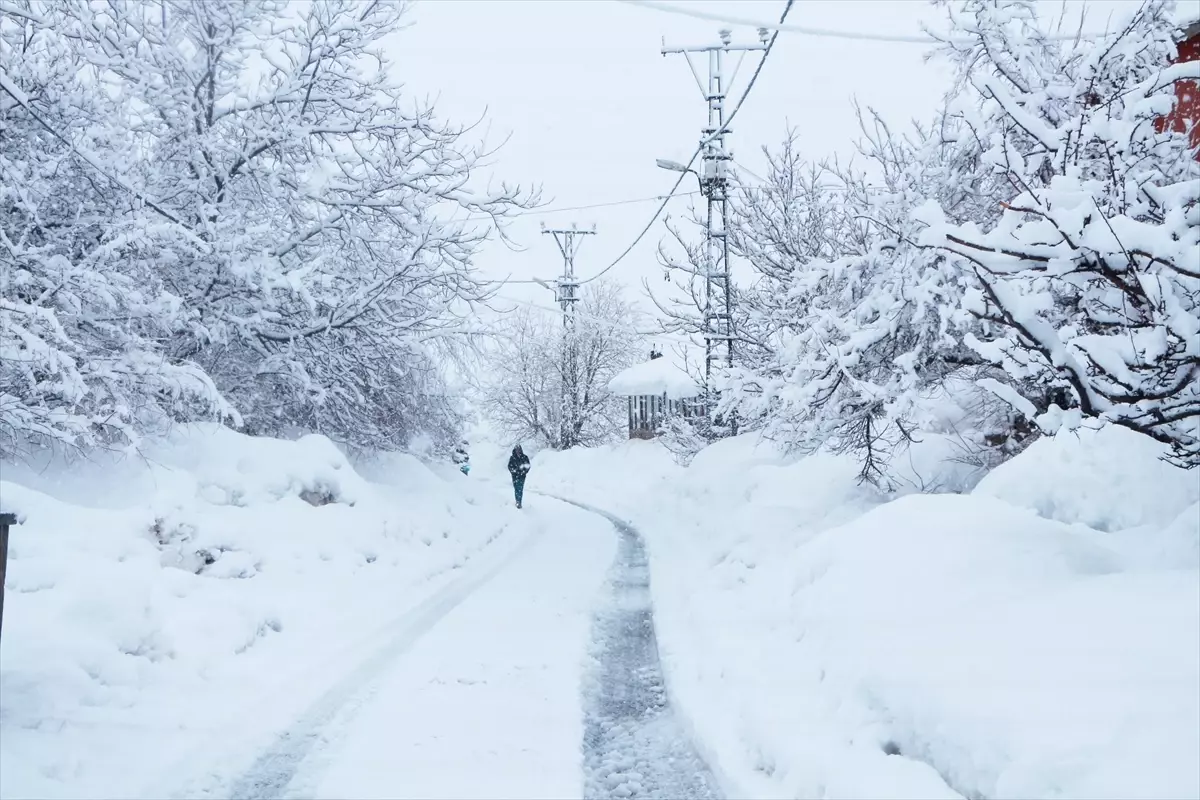 Bingöl\'de Kar Yağışı Hayatı Olumsuz Etkiliyor