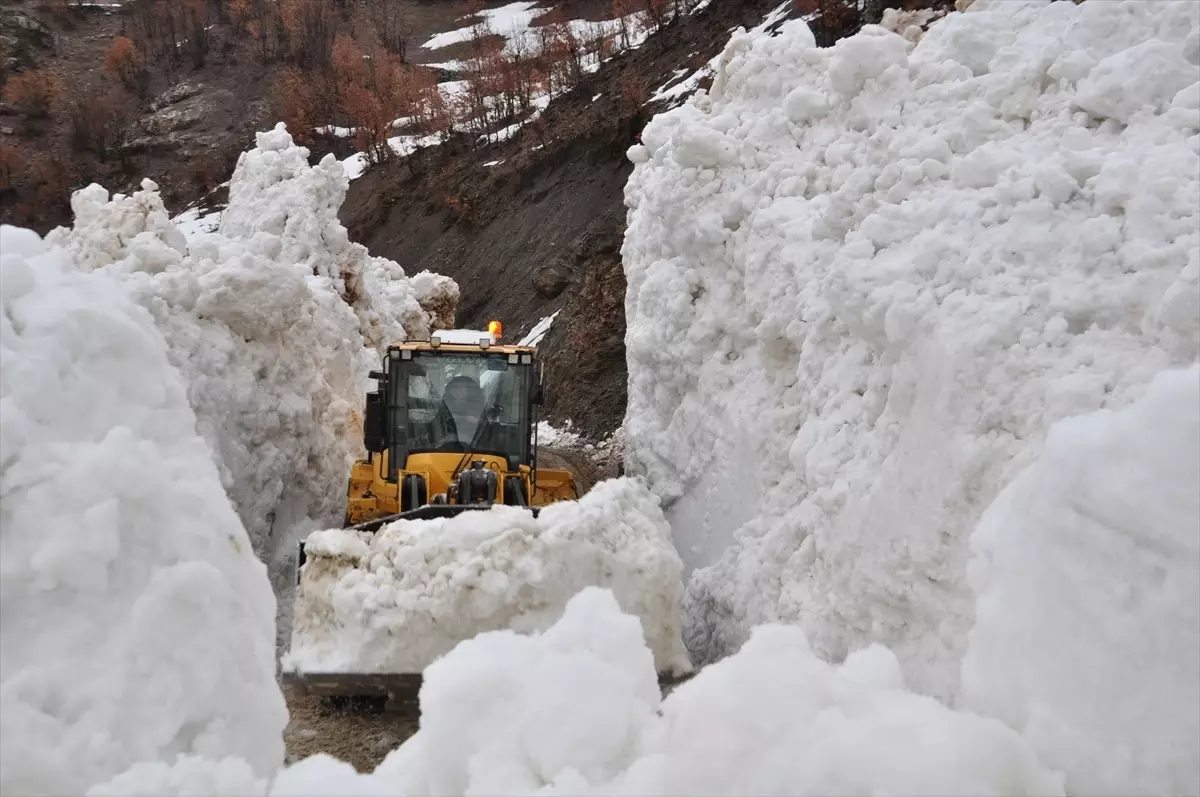 Hizan\'da Çığ Düştü, Yol Açma Çalışmaları Başladı