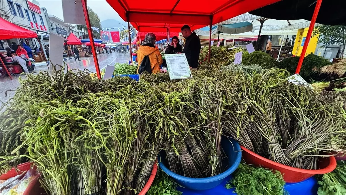 Bodrum Acı Ot Festivali Başladı