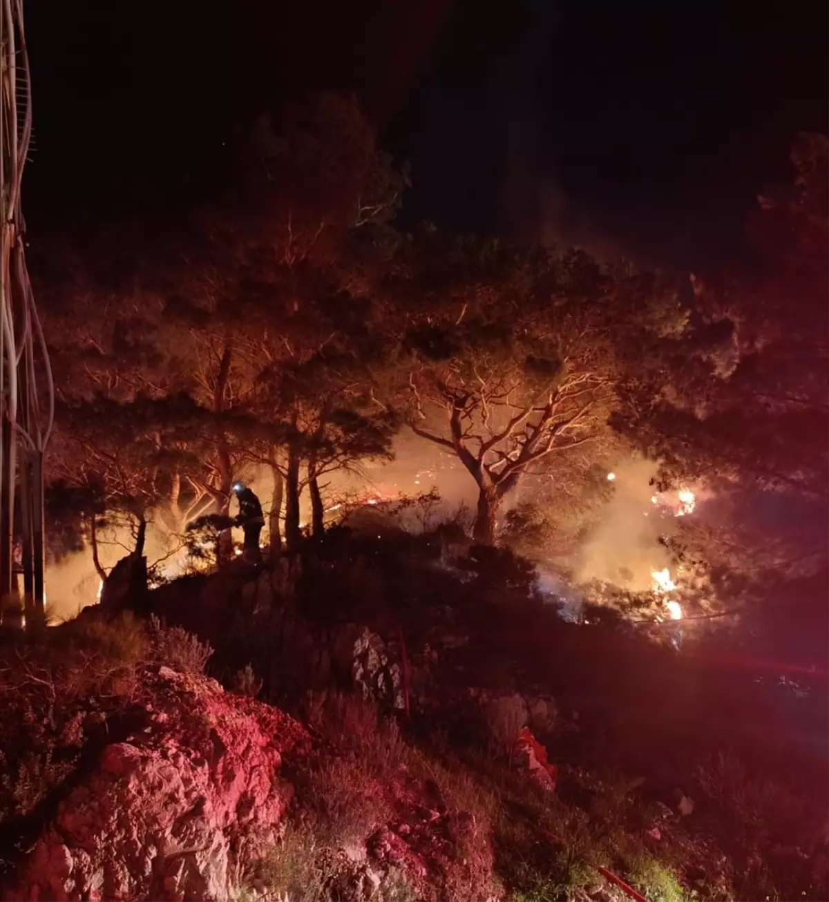 Bodrum\'da Orman Yangını Söndürüldü