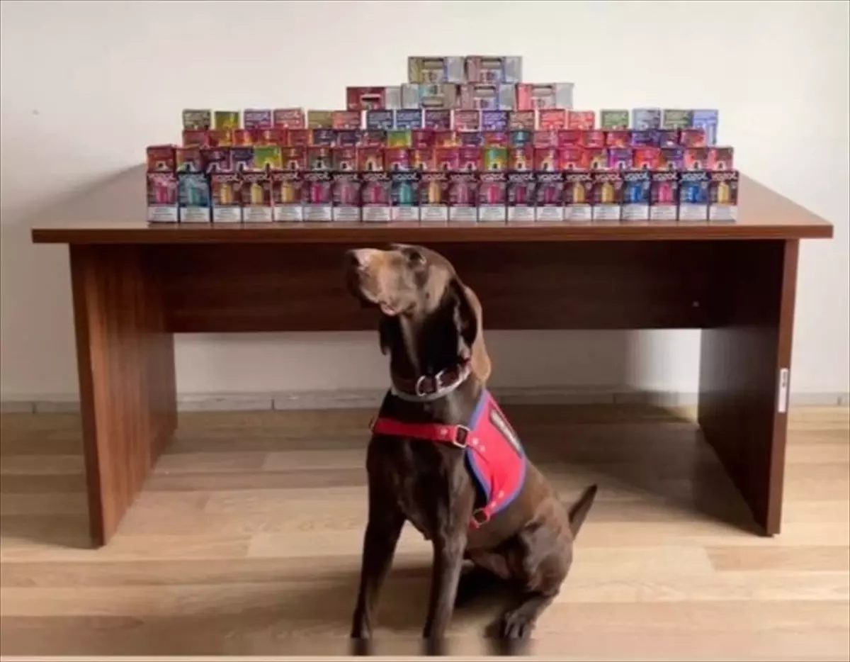 Bolu\'da Kaçak Sigara Operasyonu