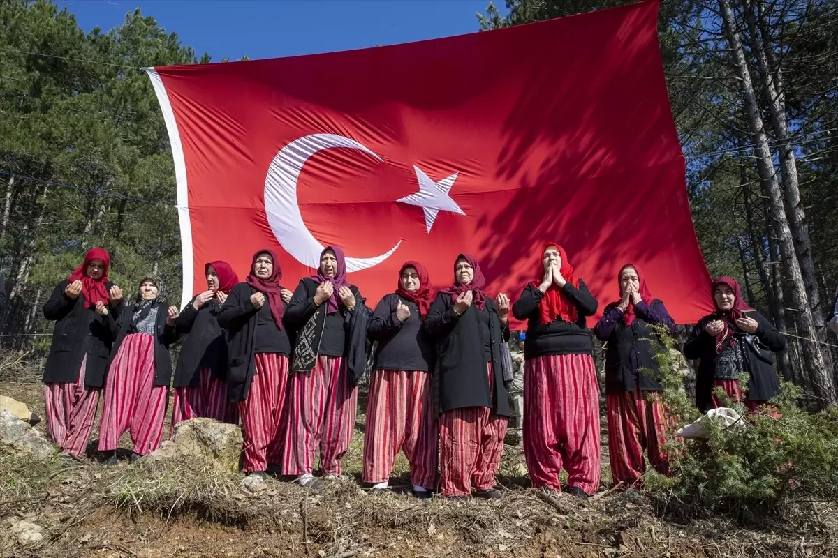 Bolu\'da Fidan Dikim Etkinliği Düzenlendi