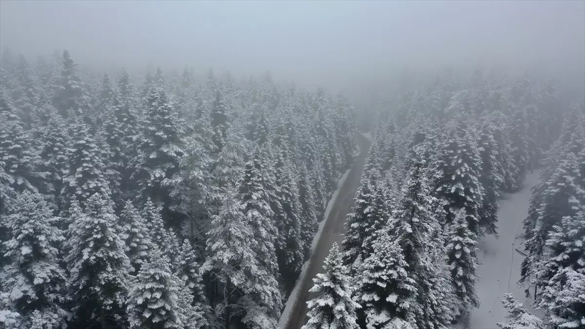 Bolu\'da Kar Yağışı Devam Ediyor