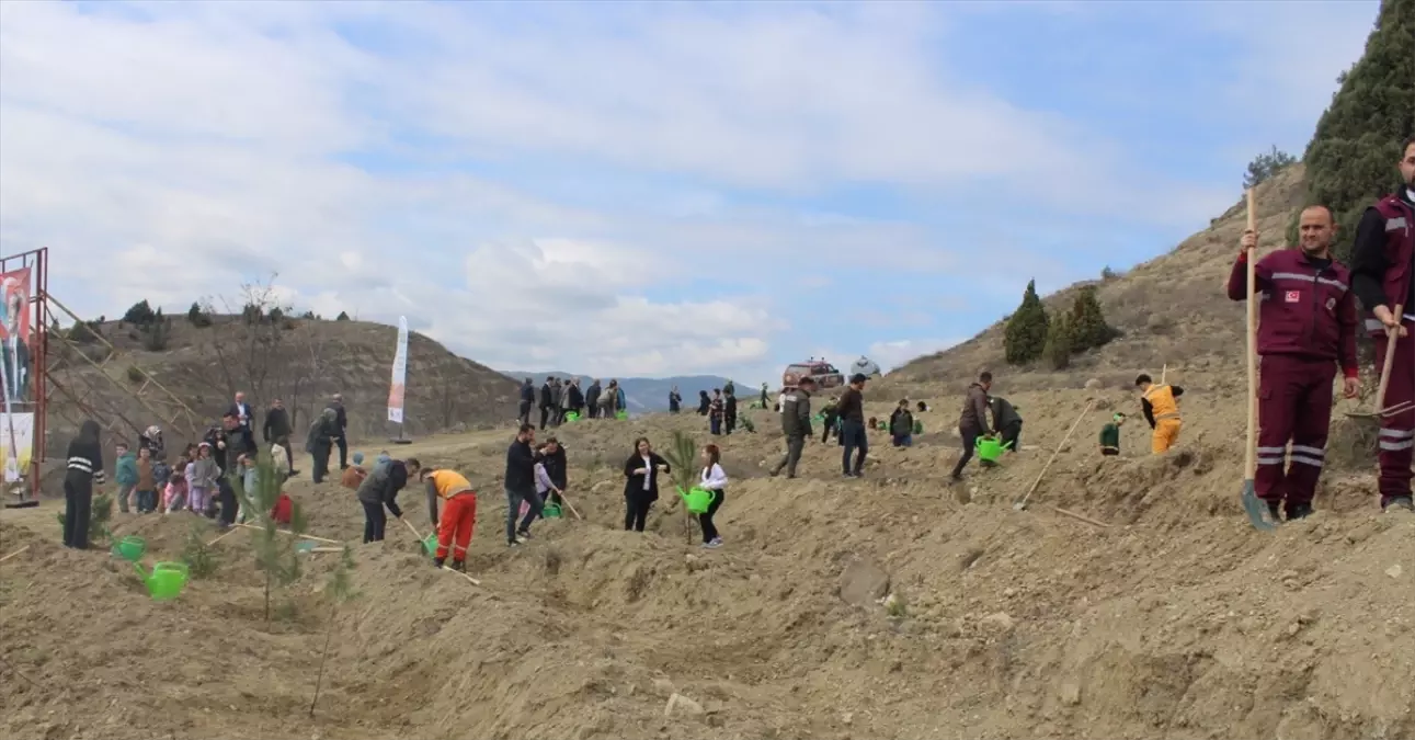 Boyabat\'ta Orman Haftası Fidan Dikim Etkinliği