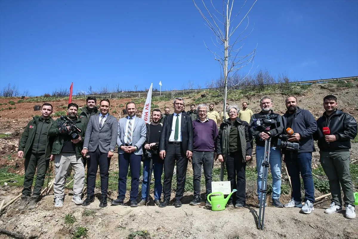 Bursa\'da Yangın Sonrası Fidan Dikimi