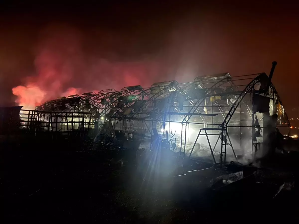 İnegöl\'de Çiftlik Yangını: Çok Sayıda Hayvan Telef Oldu