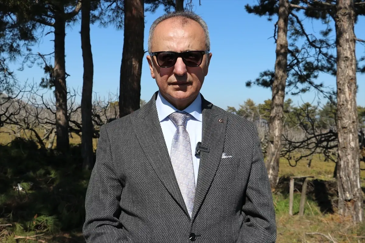 Ümraniye\'de Hatıra Ormanı Oluşturuldu