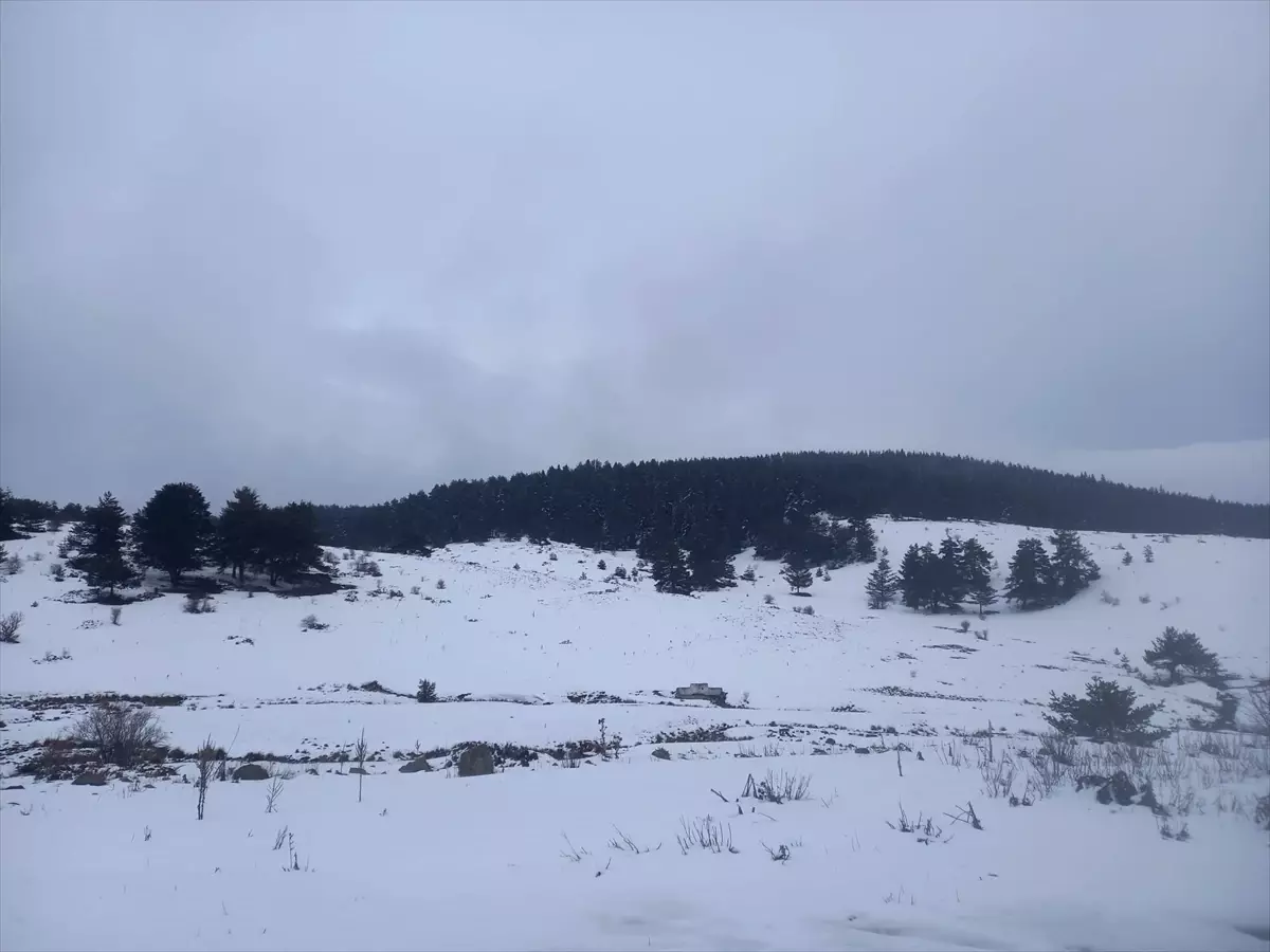 Çankırı\'da Kar Yağışı Etkili Oluyor