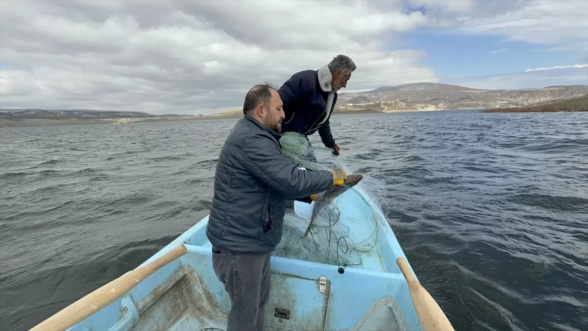 Çekerek Barajı\'nda Su Seviyesi İki Kat Arttı