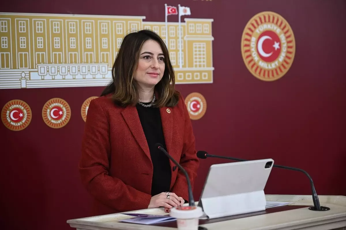 Aysu Bankoğlu\'ndan Esnaf İçin Faizsiz Dondurma Çağrısı