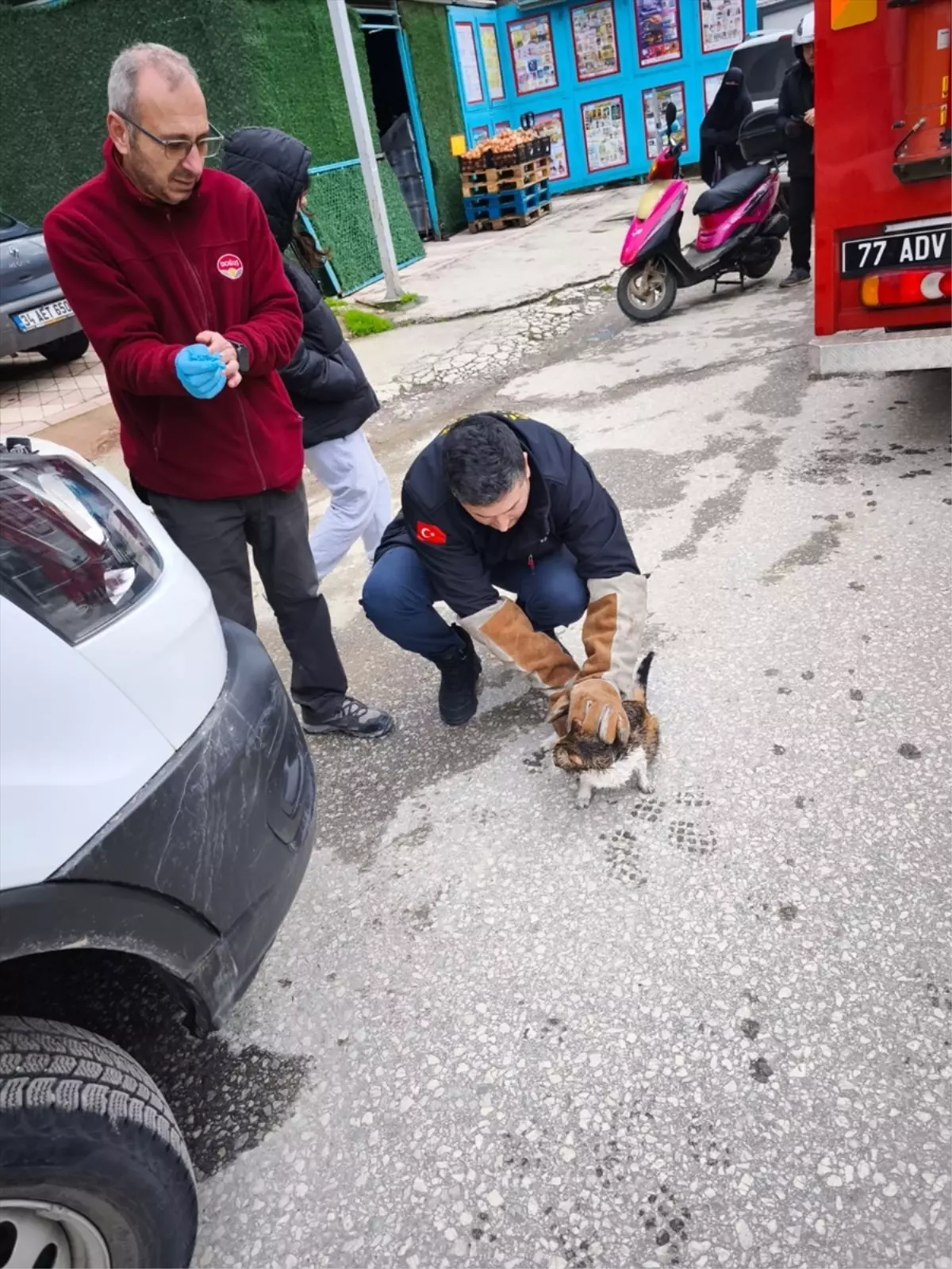 Kedi İtfaiye Ekipleri Tarafından Kurtarıldı