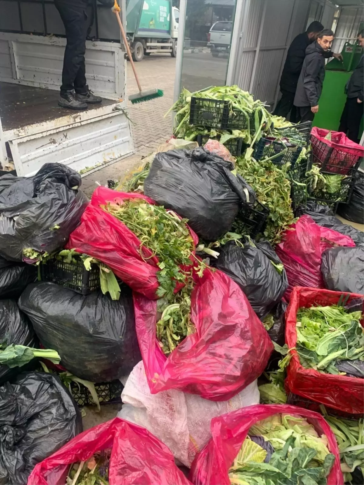 Çınarcık’tan Organik Gübre Projesi