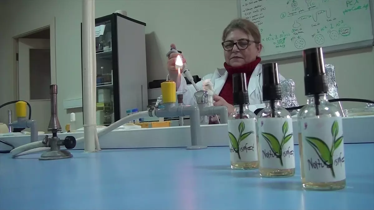 ÇOMÜ\'den Doğal Dezenfektan Formülü