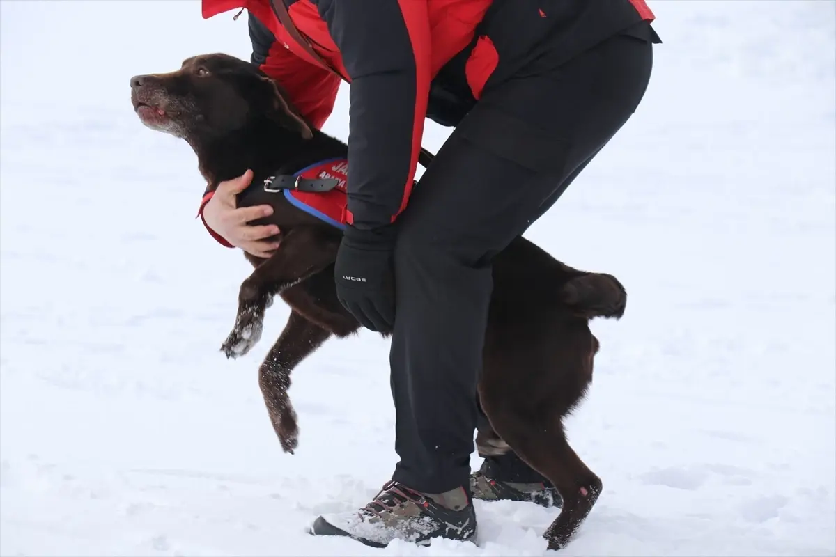 Davraz\'da Çığda Kurtarma Eğitimi