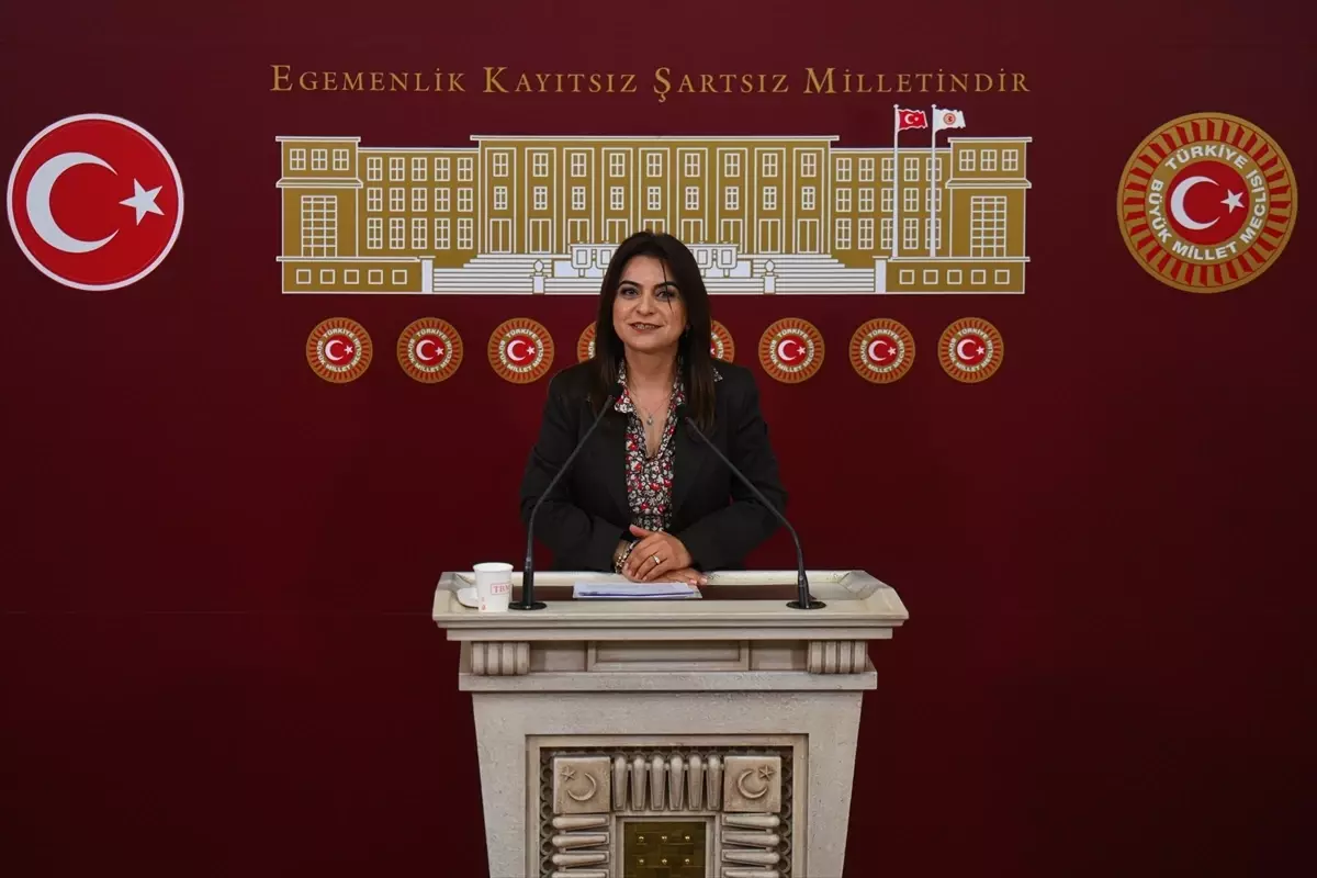 Koçyiğit\'ten Yasal Düzenleme Çağrısı