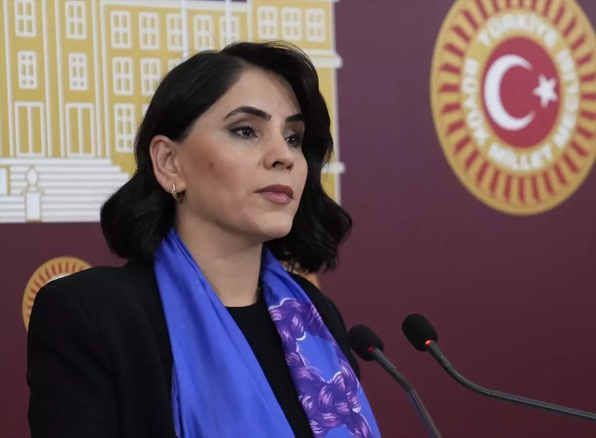 DEM Parti Milletvekillerinden Meclis\'te Basın Toplantısı