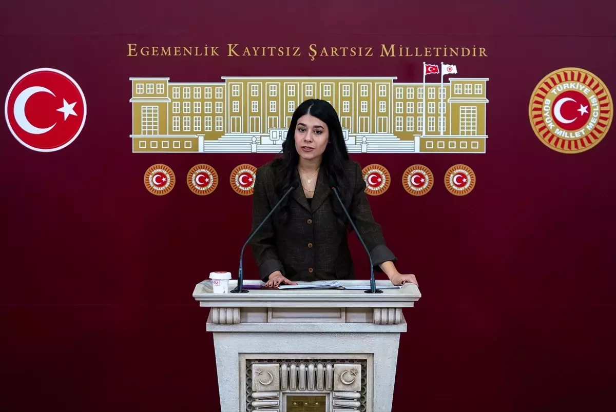 DEM Parti Milletvekilleri Meclis\'te Fuhuş İddiasını ve Milli Parklar Kanunu\'nu Eleştirdi
