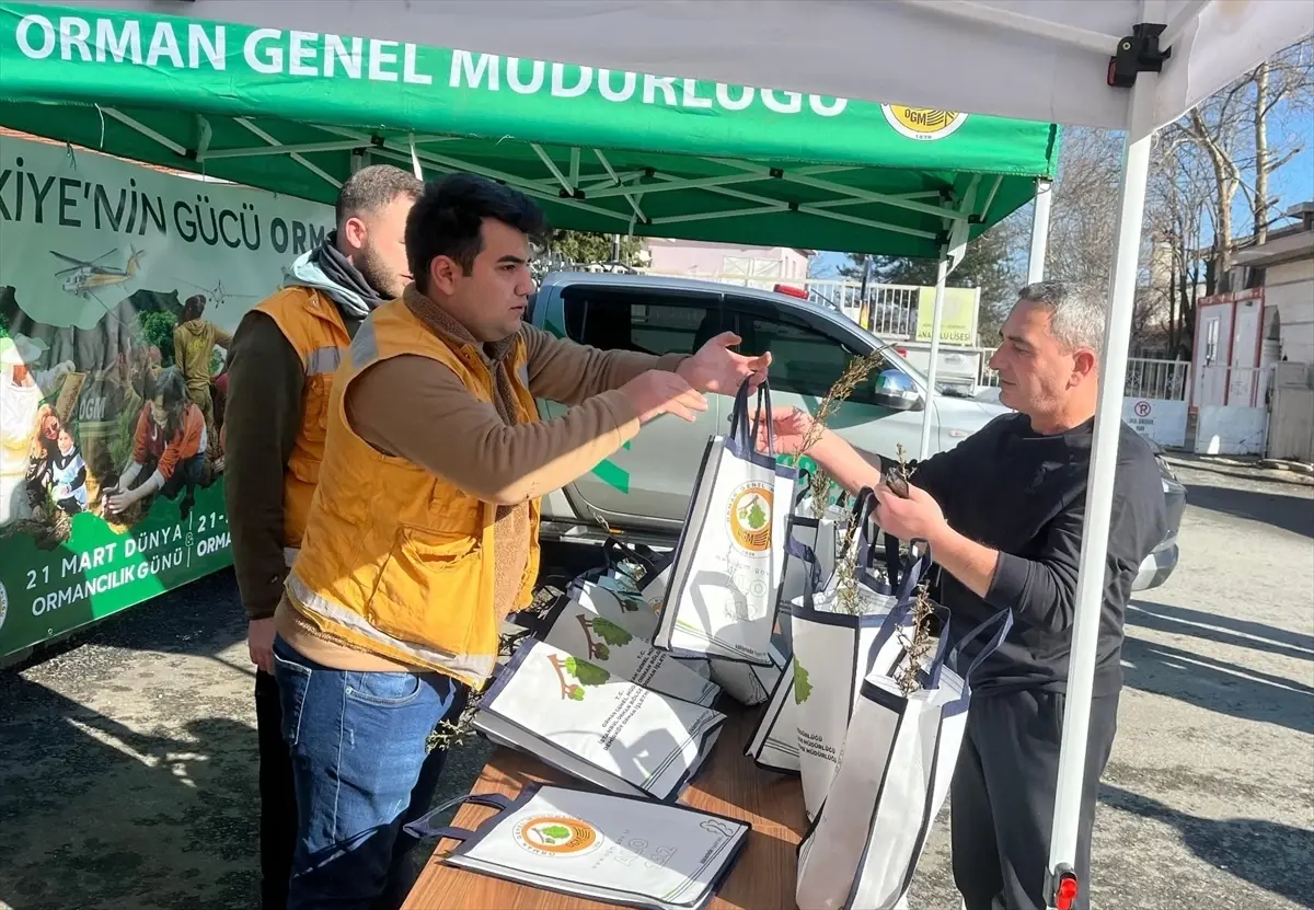 Demirköy\'de Fidan Dağıtımı