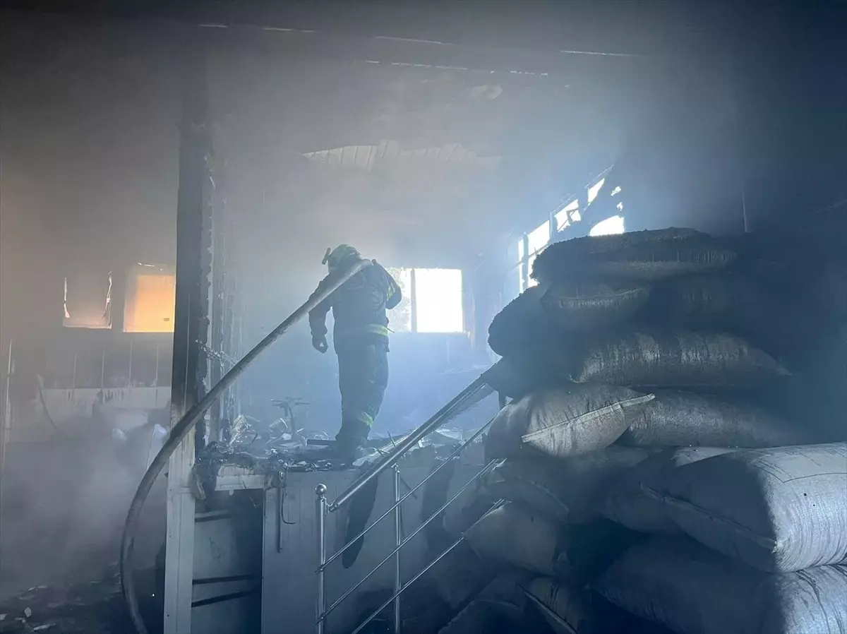 Serinhisar\'da Yangın Söndürüldü