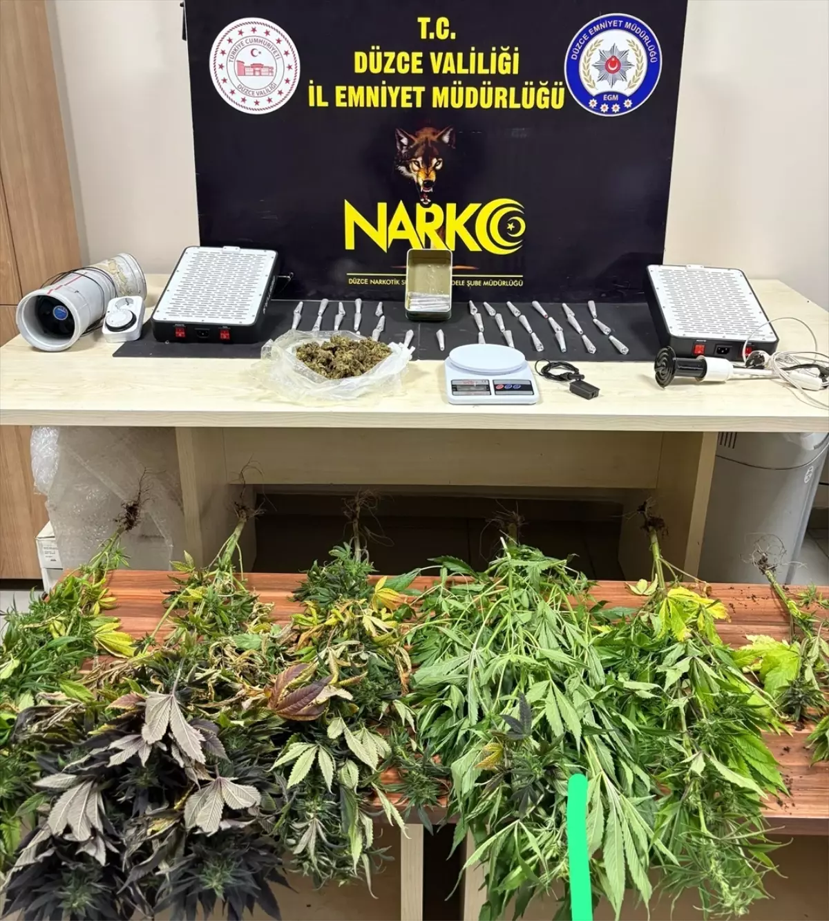 Düzce\'de Uyuşturucu Operasyonu: İki Tutuklama