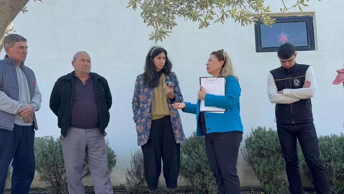 Eceabat\'ta Zeytin Üreticilerine Budama Eğitimi