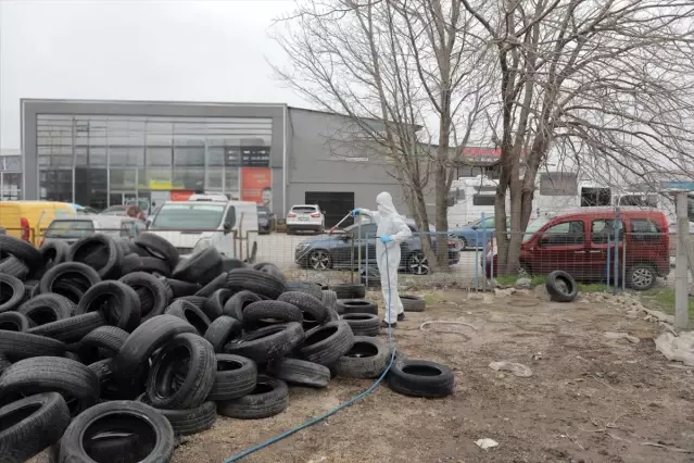 Edirne’de Vektörle Mücadele Çalışmaları