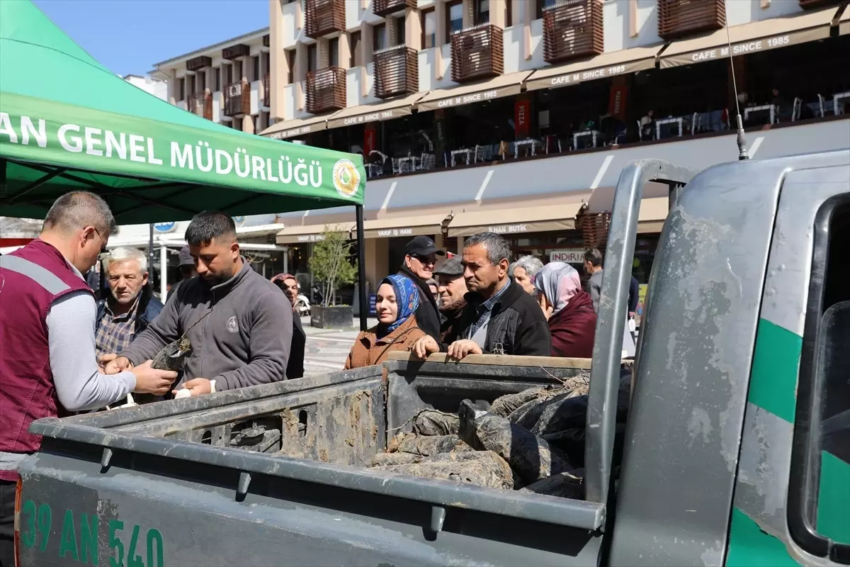 Edirne\'de 3 Bin Ihlamur Fidanı Dağıtıldı