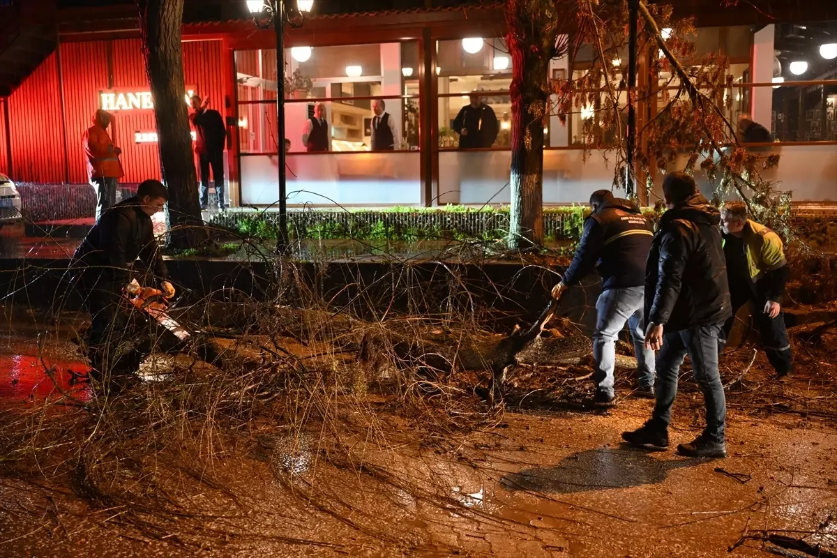 Edirne\'de Fırtına Ağaçları Devrildi