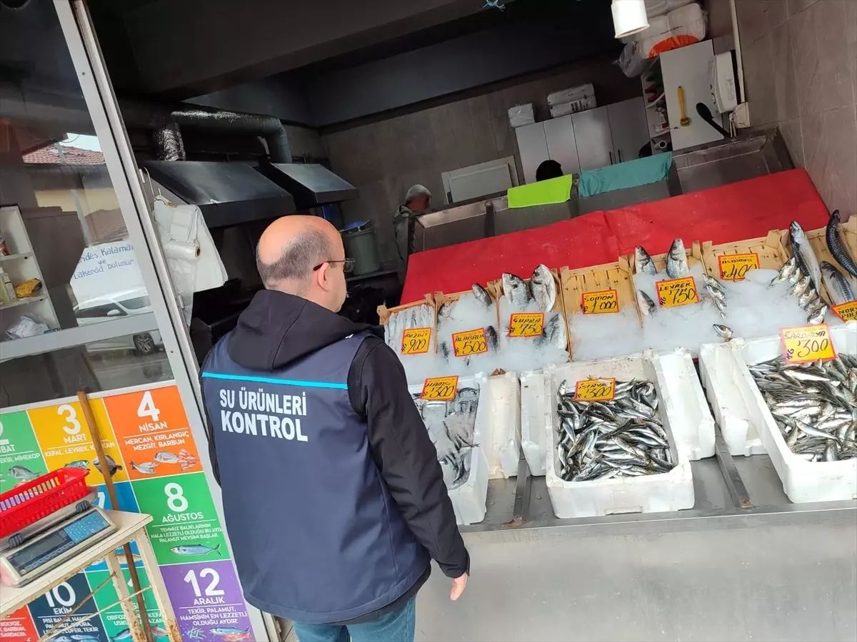Edirne\'de Su Ürünleri Denetimleri Devam Ediyor