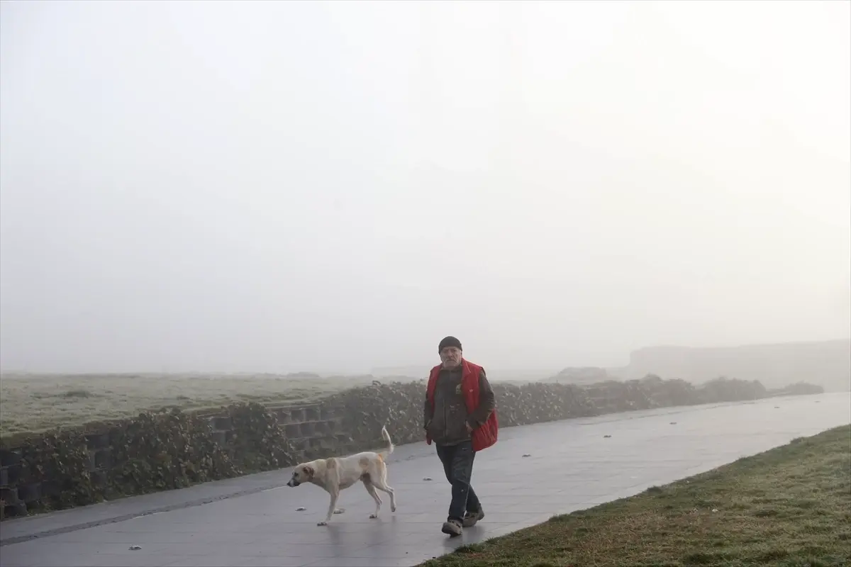 Edirne ve Tekirdağ\'da Yoğun Sis Etkili