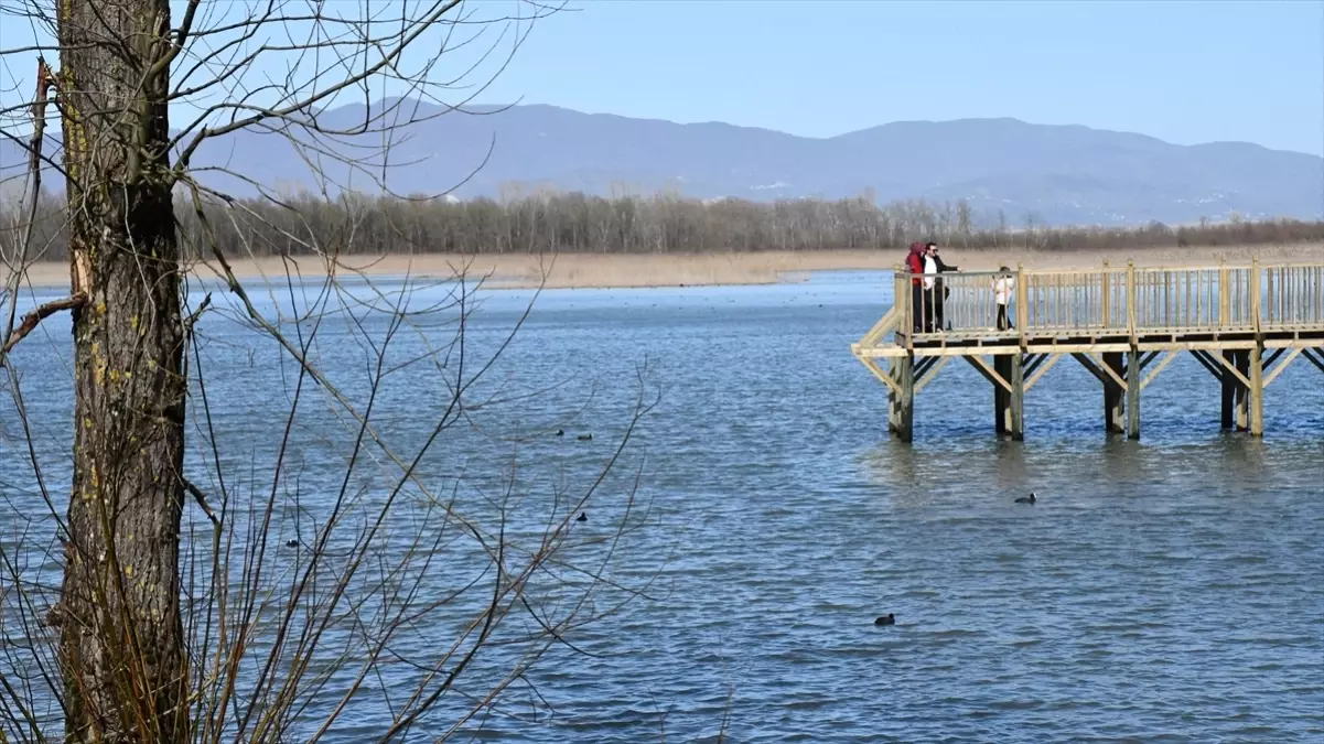 Efteni Gölü Kuş Cenneti Doğaseverlerin Gözdesi