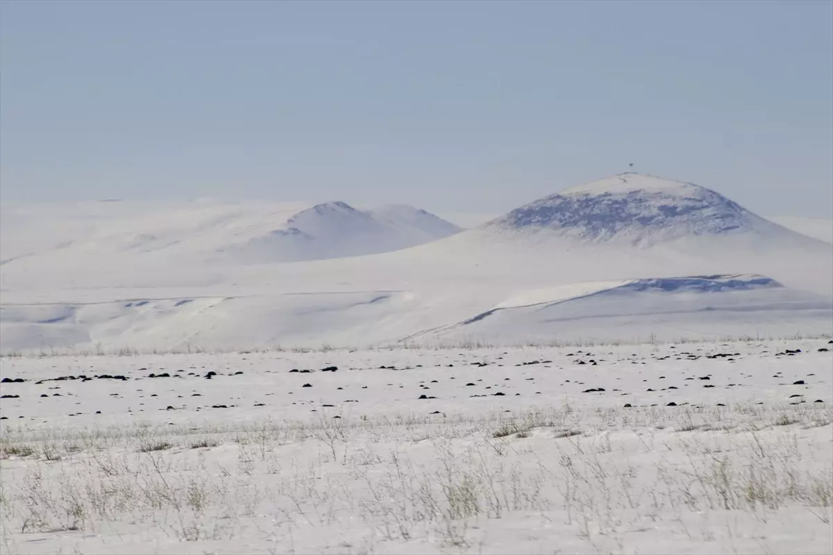 Doğu Anadolu\'da Kar Yağışı