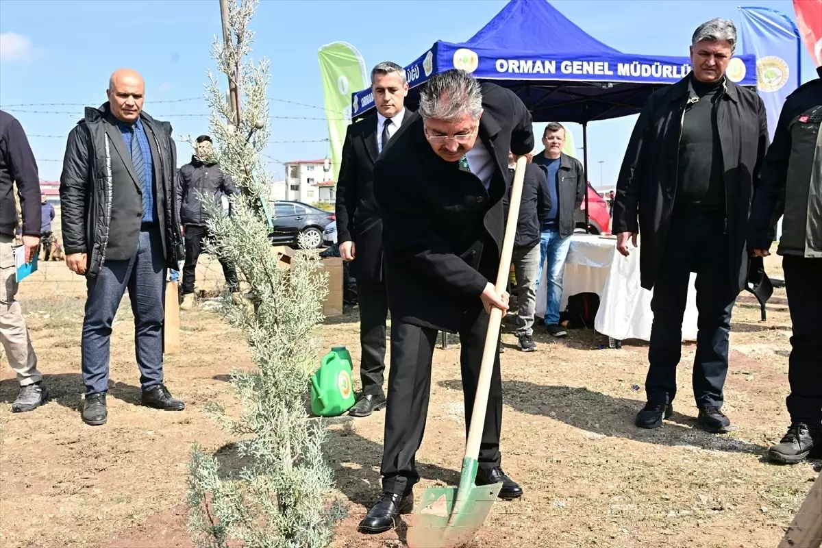 Eskişehir\'de 20 Bin Fidan Dikildi