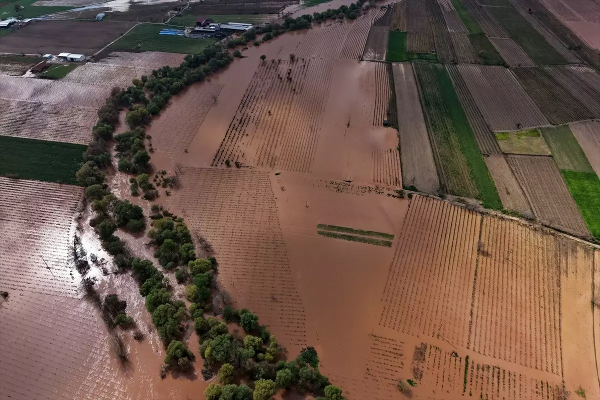 Gediz Nehri Taştı, Turgutlu\'da Zarar Büyük