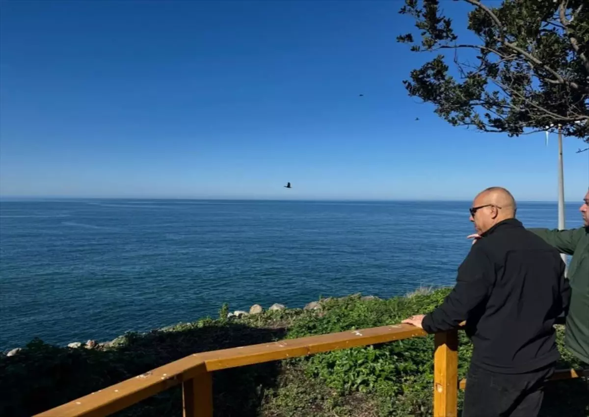 Giresun Adası\'nda Çevre Düzenleme İncelemesi