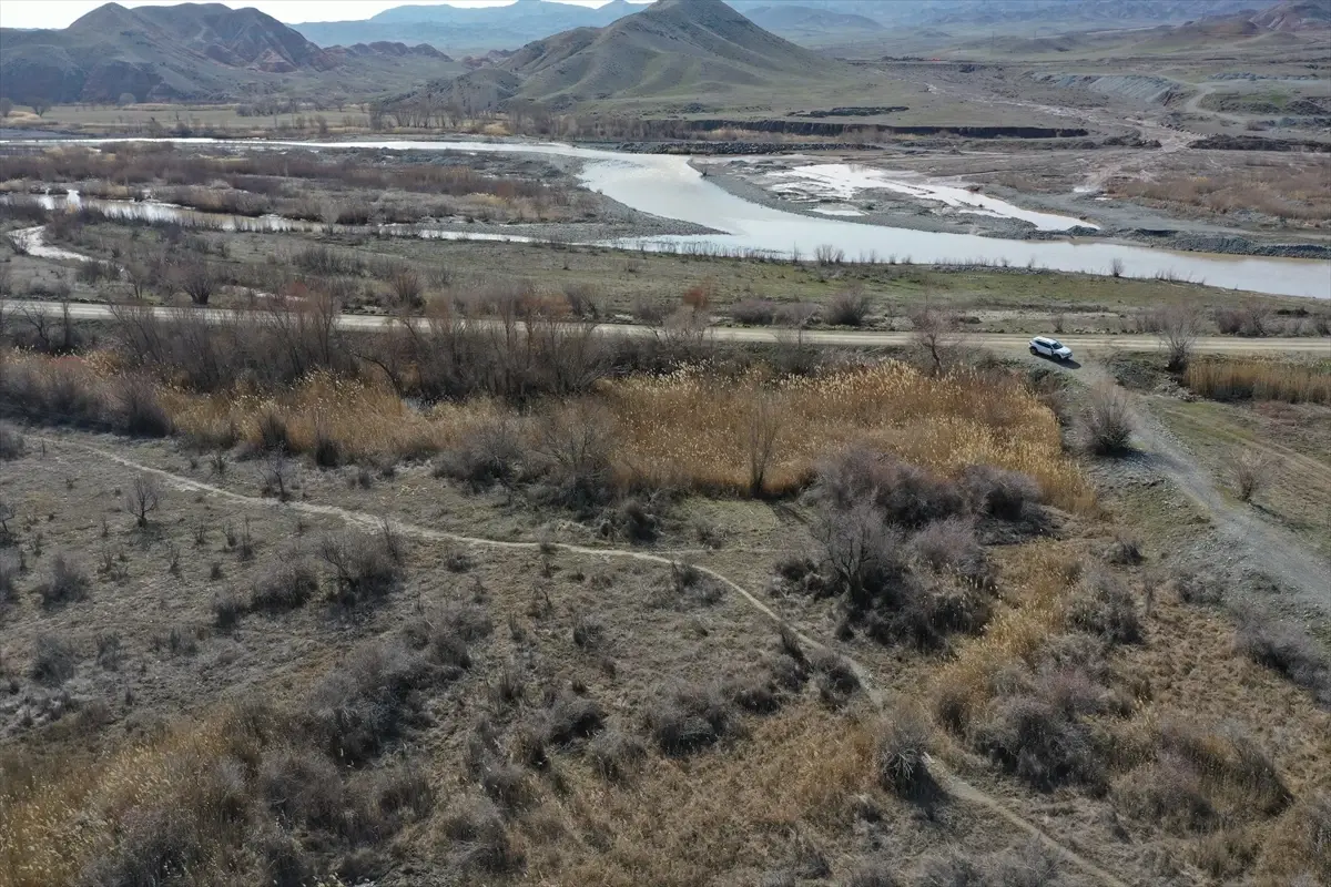 Iğdır\'da 303 Kuş Halkalandı