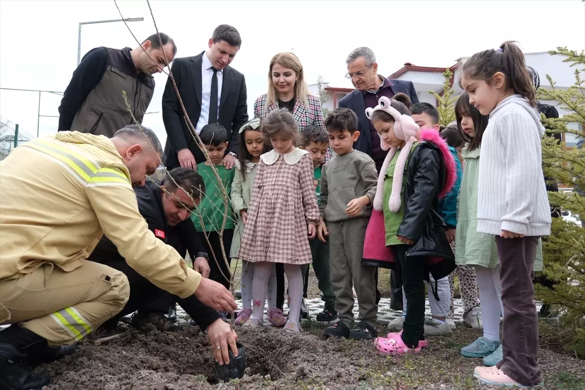 Beypazarı\'nda Fidan Dağıtımı