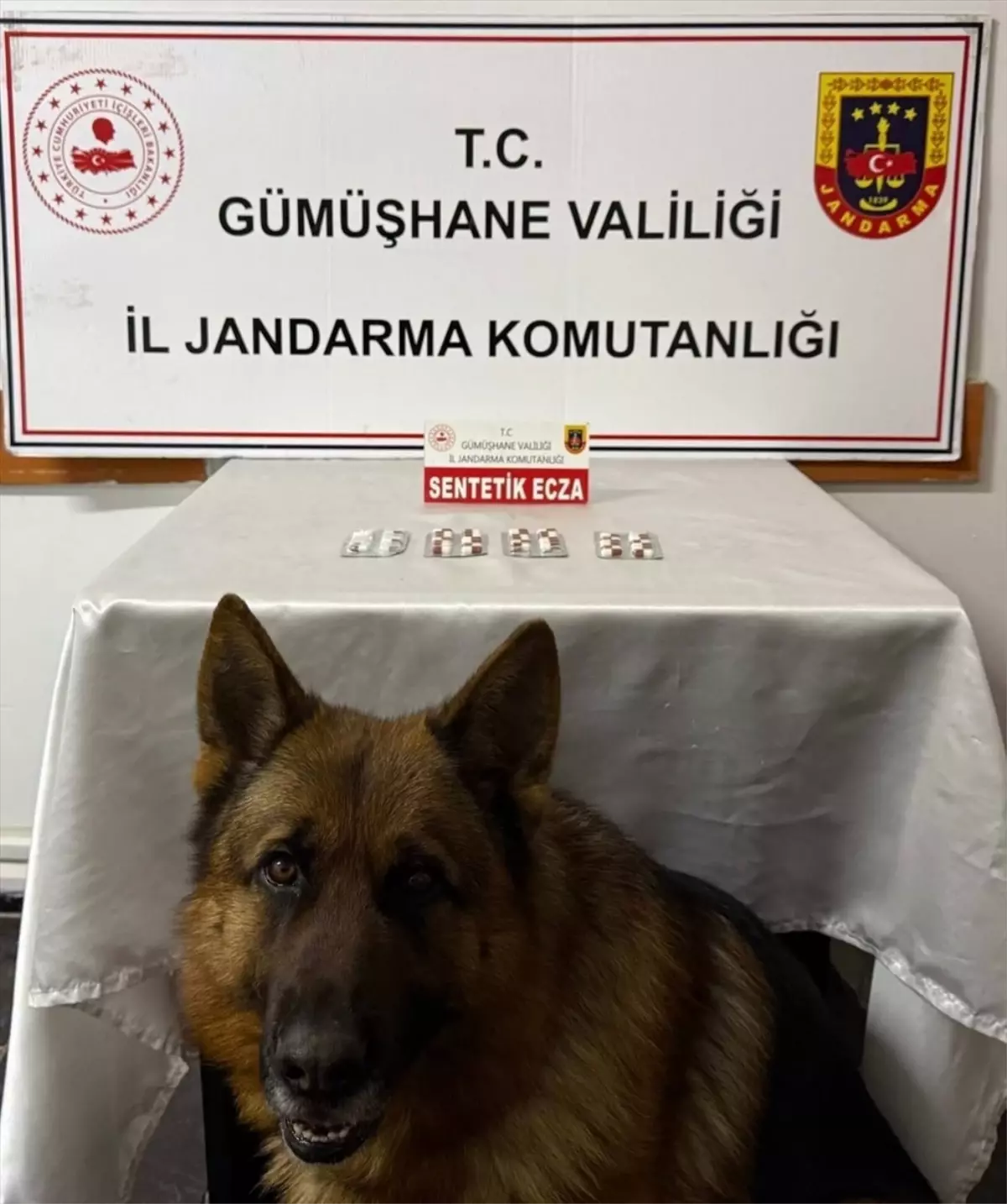 Gümüşhane\'de Uyuşturucu Operasyonu