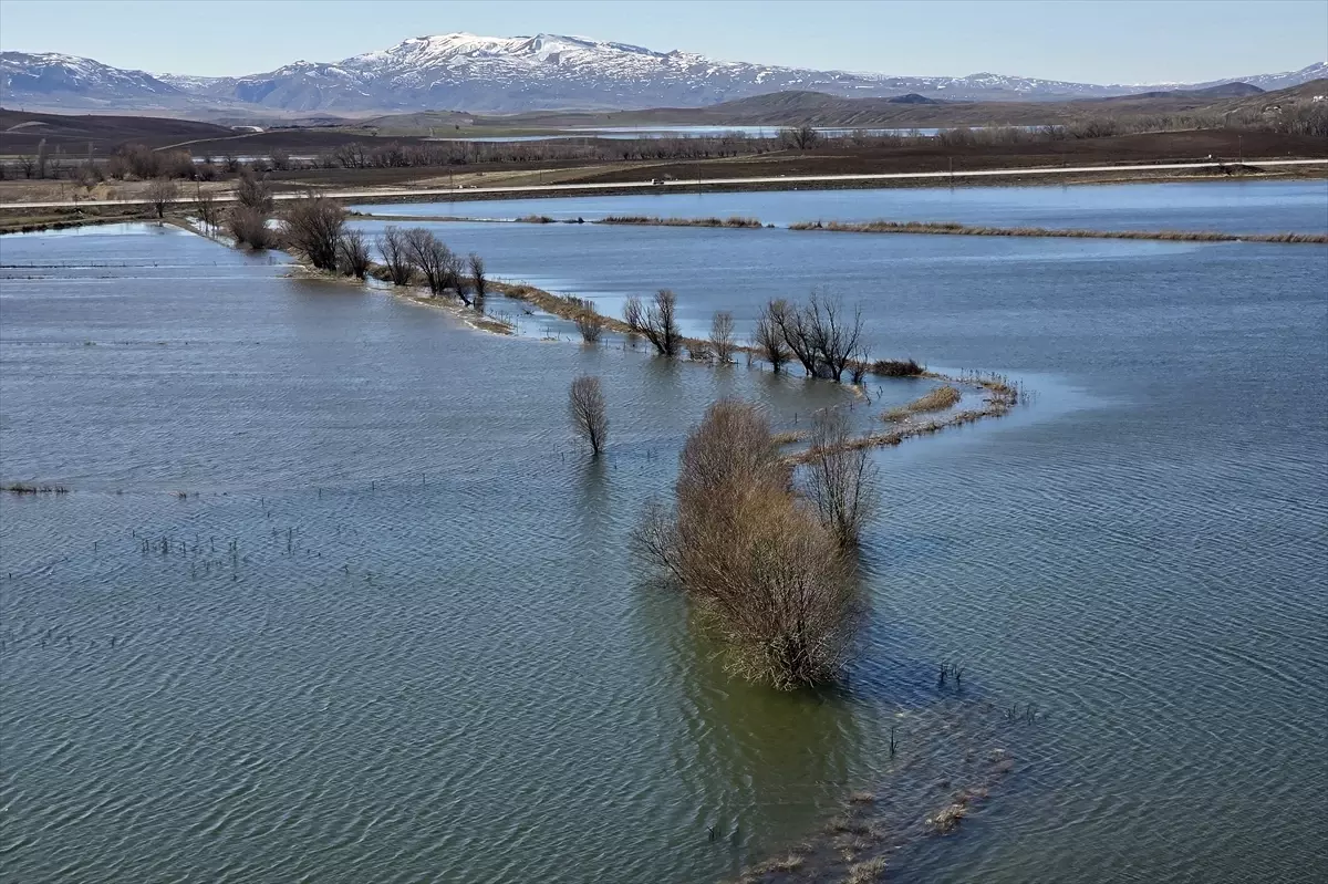 Lota Gölü\'nde Su Seviyesi Rekor Kırdı