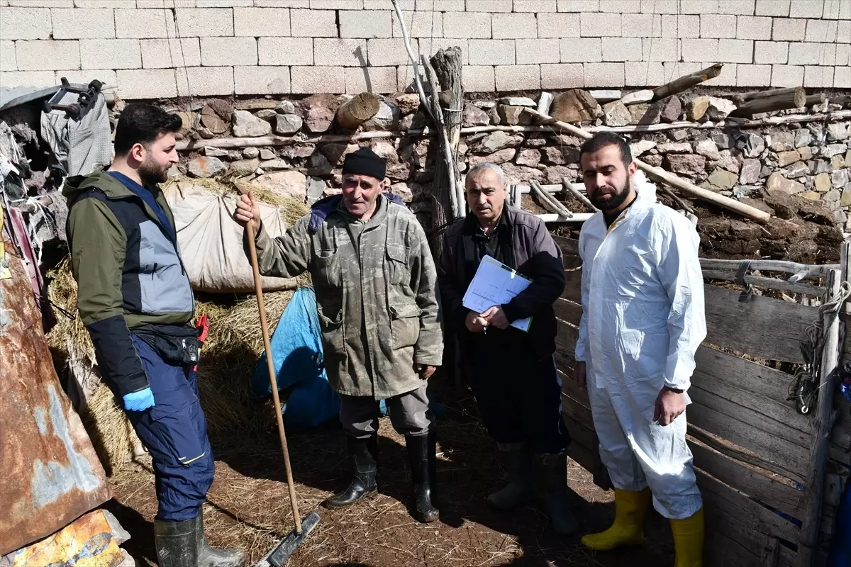 Hakkari\'de Veterinerlerden Aşılama Çalışmaları