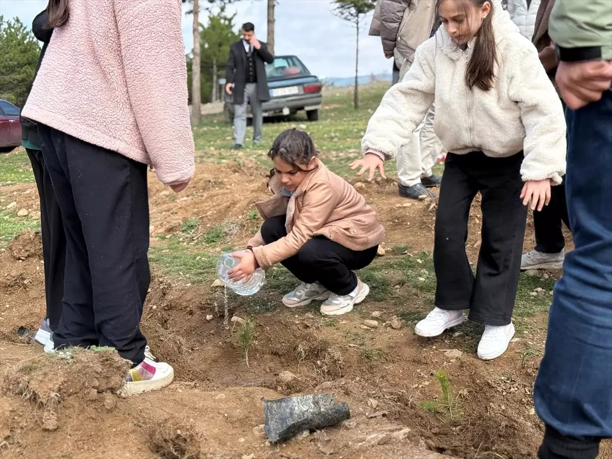 Fidan Dikme Etkinliği