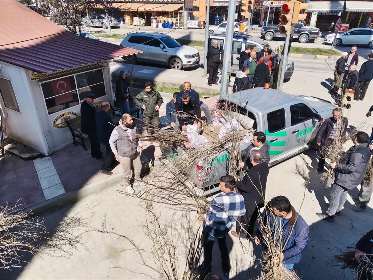 Hanönü\'nde 2 Bin Fidan Dağıtıldı