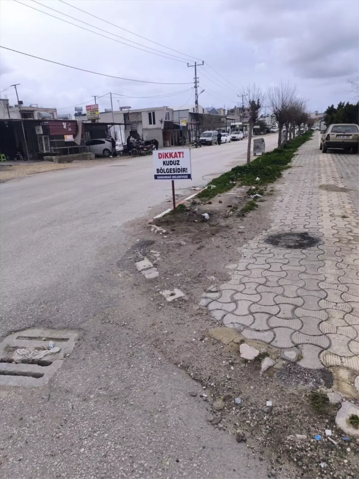 Samandağ\'da 4 Mahalle Kuduz Nedeniyle Karantinaya Alındı