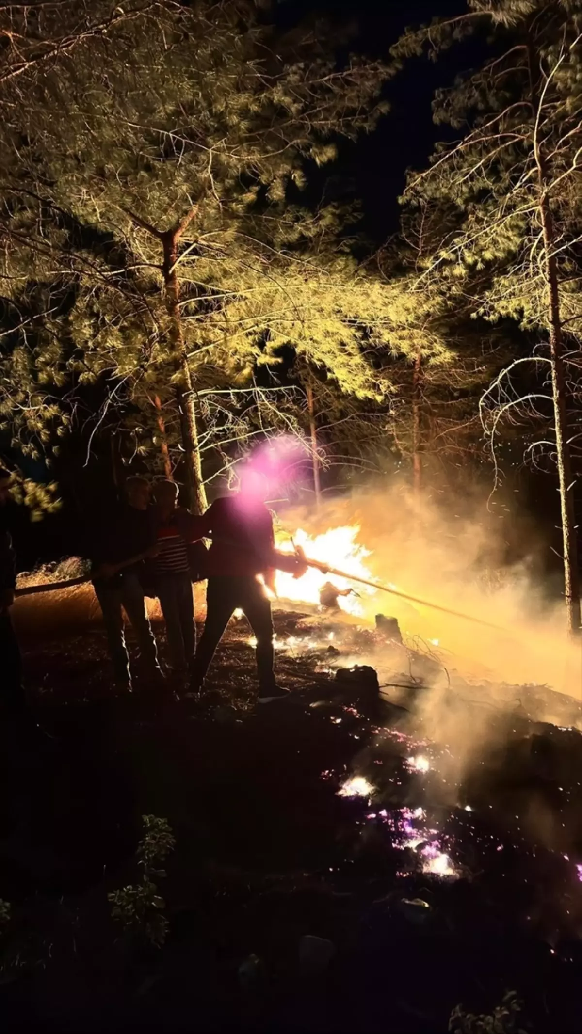 Dörtyol\'da Orman Yangını Kontrol Altına Alındı