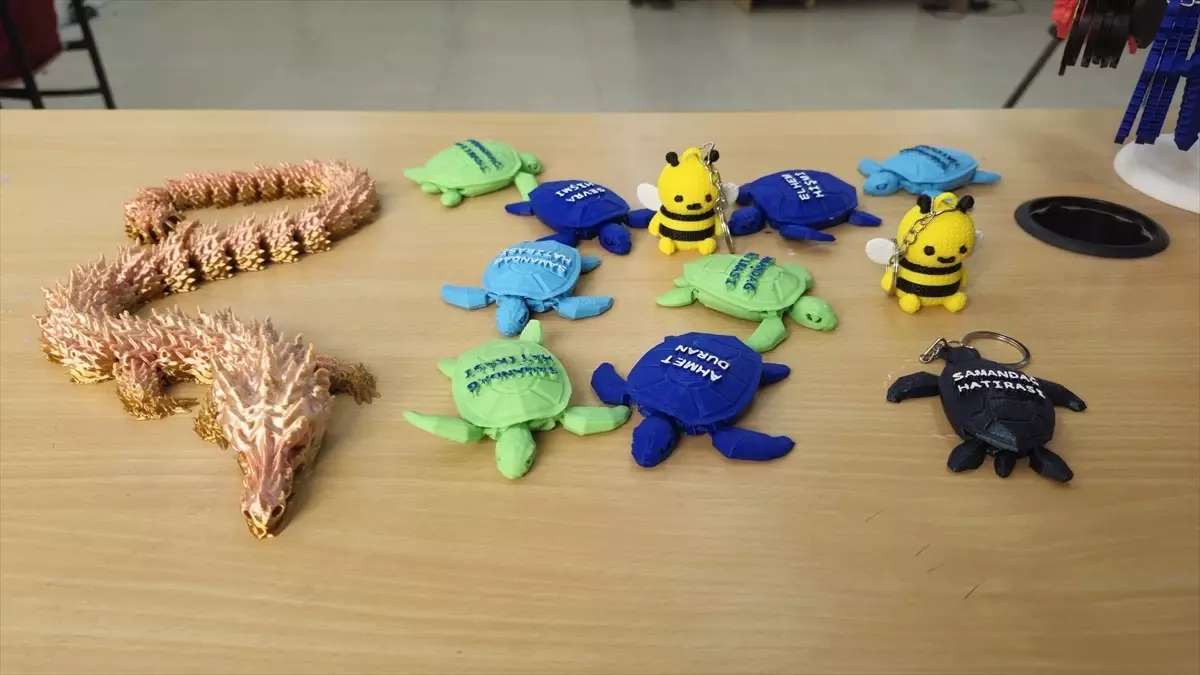 3D Yazıcı ile Deneyim ve Gelir